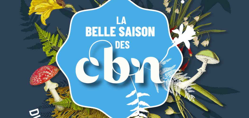 La Belle Saison des CBN #2024