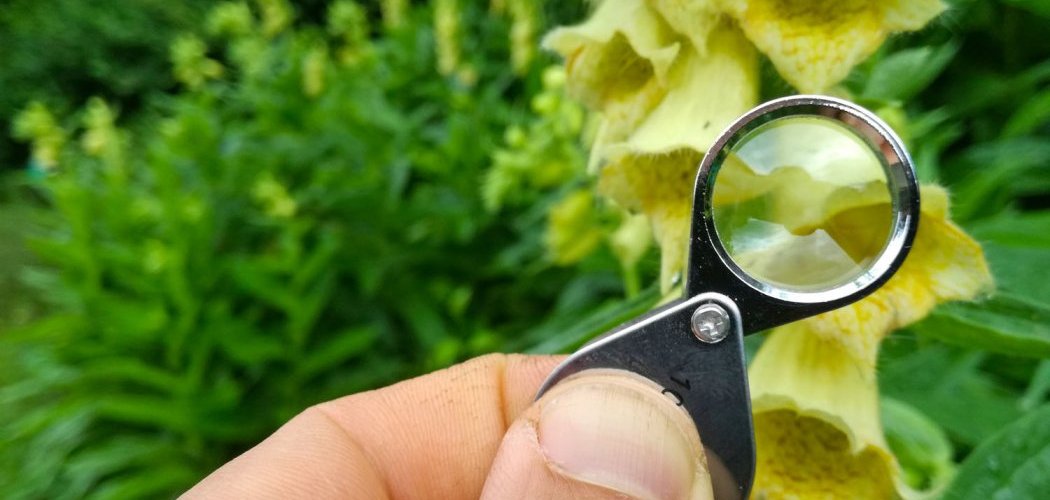 Le Conservatoire botanique national réunit ses réseaux départementaux d'observateurs de la flore !