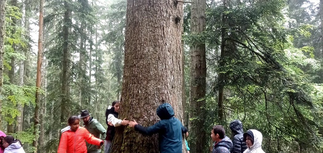 Les élèves de l'école de Chavaniac-Lafayette à la découverte des forêts !