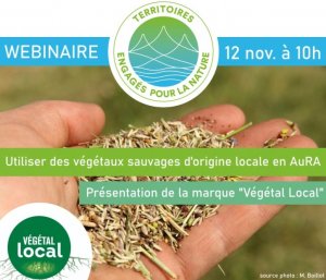 WEBINAIRE - Utiliser des végétaux sauvages d’origine locale en Auvergne Rhône-Alpes – présentation de la marque Végétal local