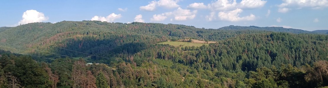 Effets du réchauffement climatique