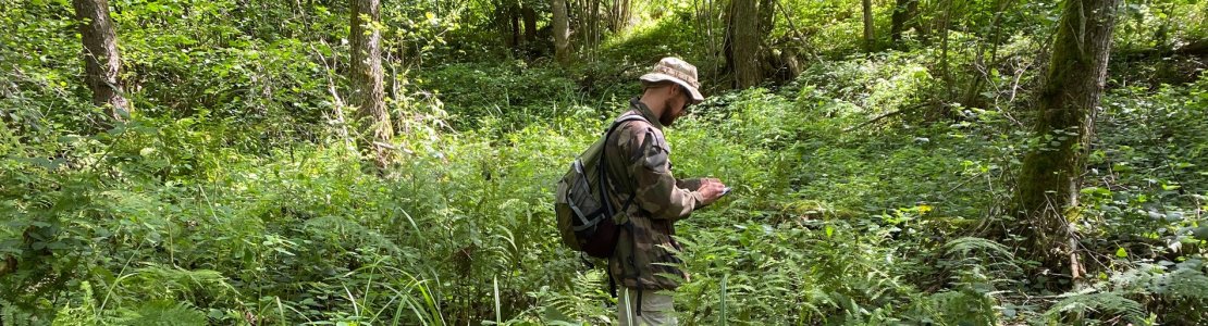 Suivi de la biodiversité forestière