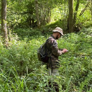 Biodiversité forestière