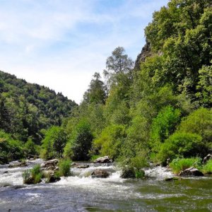 Suivi de la végétation des bords de l’Allier dans le cadre de l’aménagement du nouveau barrage de Poutès.