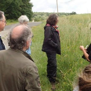 Rencontre avec le réseau d’observateurs botanistes de l’Allier