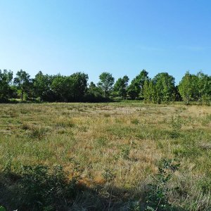 Une nouvelle mare temporaire sur le plateau du Coiron...