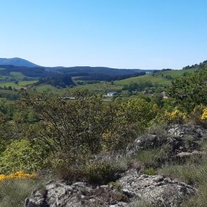 Synopsis des végétations de la région Auvergne-Rhône-Alpes
