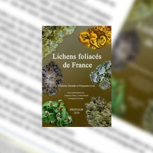 Lichens foliacés de France