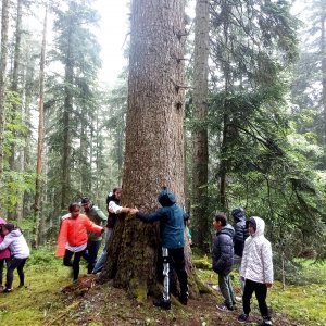 Les élèves de l'école de Chavaniac-Lafayette à la découverte des forêts !