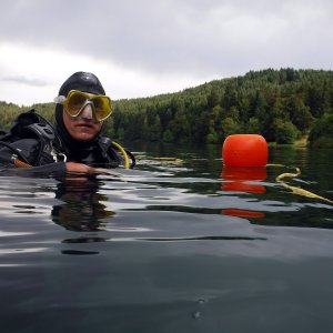 Lac du bouchet : mais où est l’Isoète ?